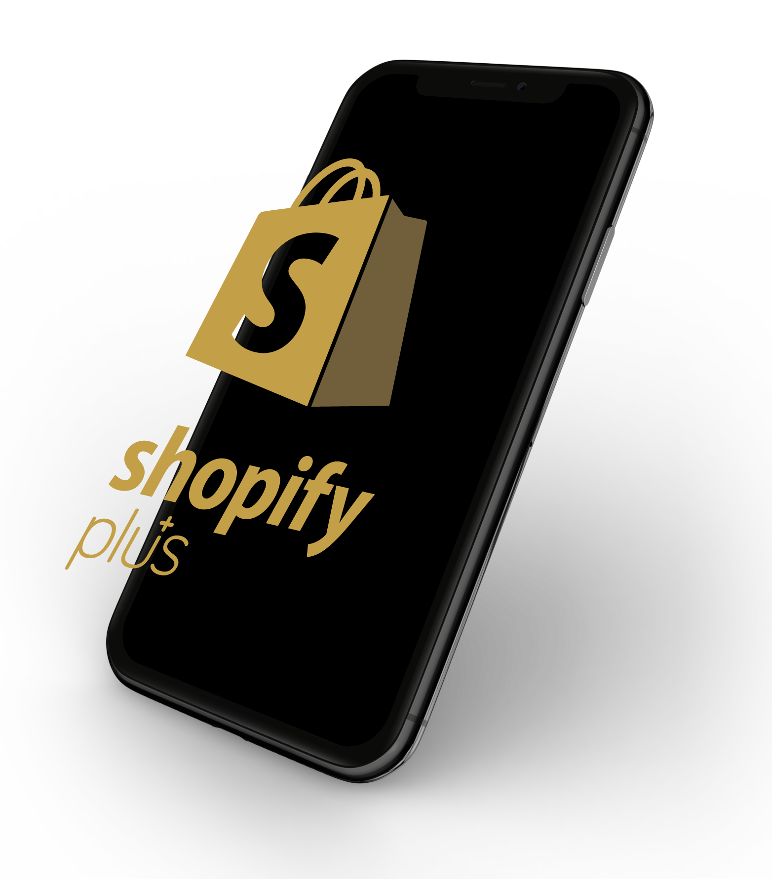 Shopify plus ebook